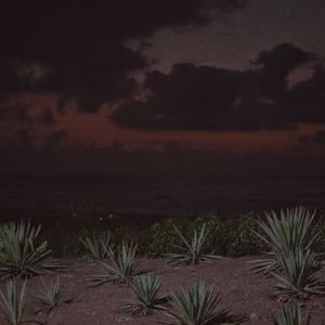 特级丰满大乳巨爆乳奶水多毛
