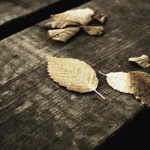 特级丰满大乳巨爆乳奶水多毛
